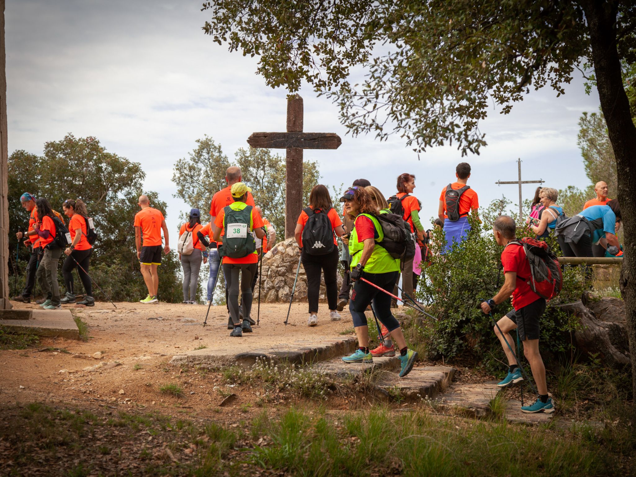 Poli8 1