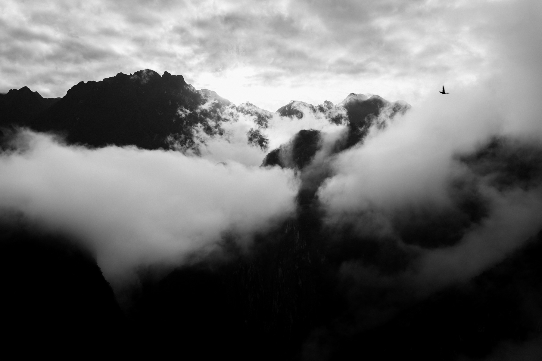 RaquelArtero Boira 19