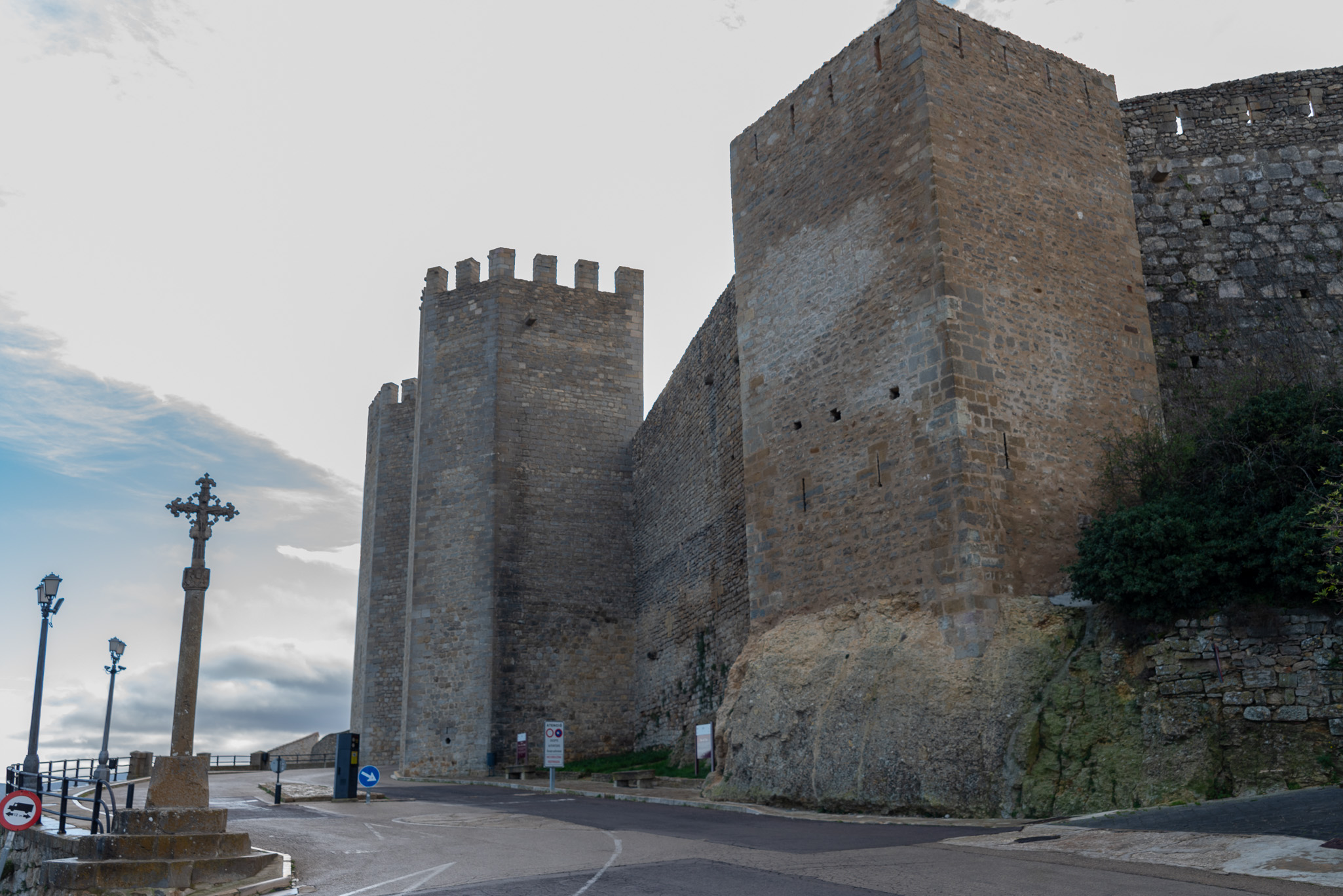 Morella 20241123 0024