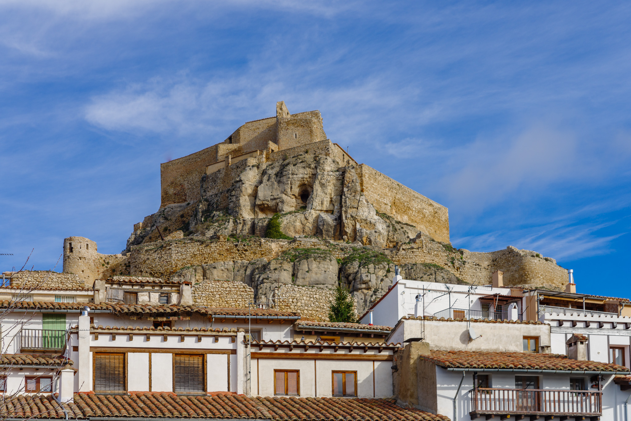 Morella