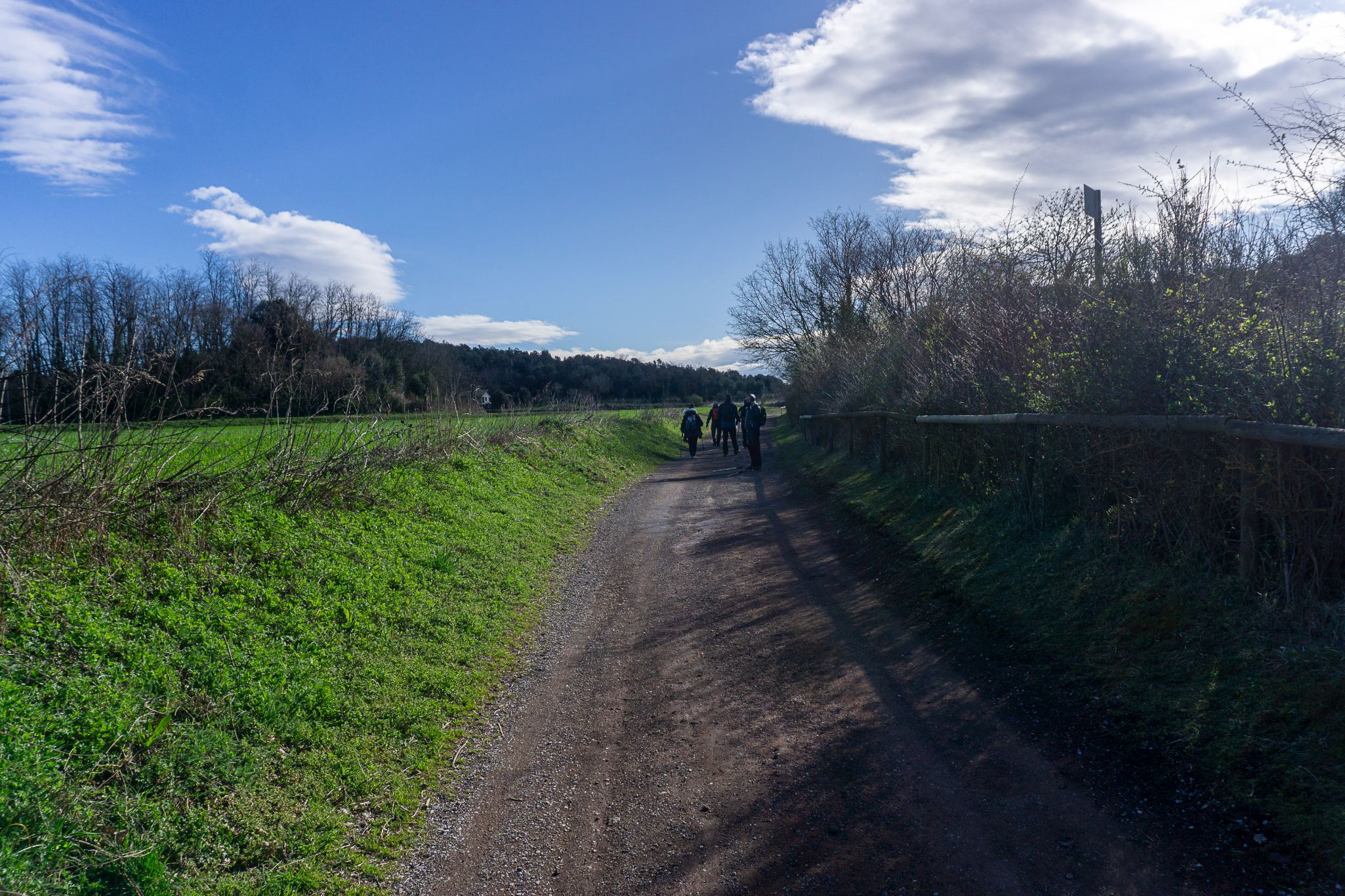 DSC05060
